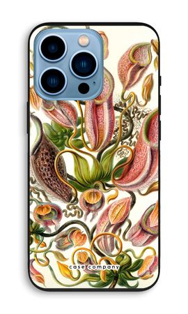 Haeckel Nepenthaceae