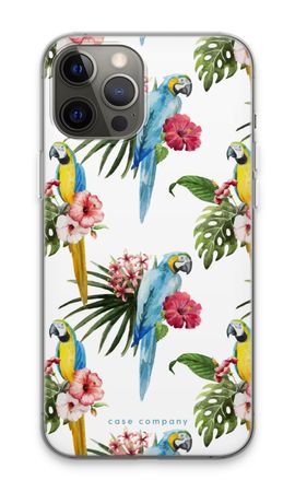 Farbenfrohe Papageien