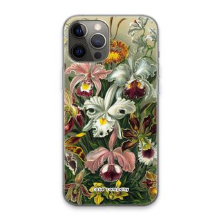 Haeckel Orchidae