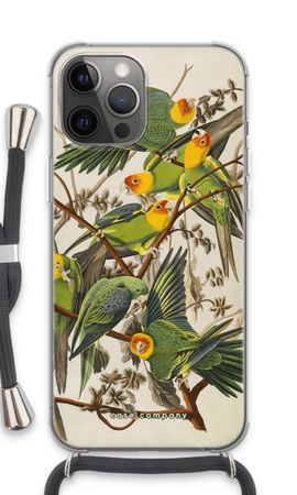 Carolina Parrot