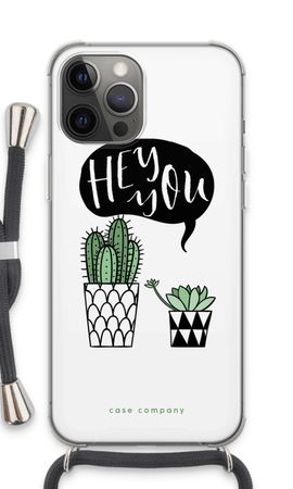 Hey you cactus