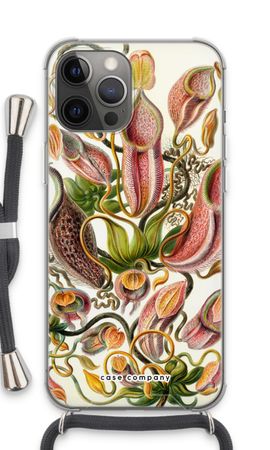 Haeckel Nepenthaceae