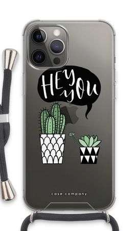 Hey you cactus