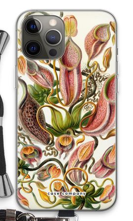 Haeckel Nepenthaceae