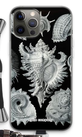 Haeckel Prosobranchia