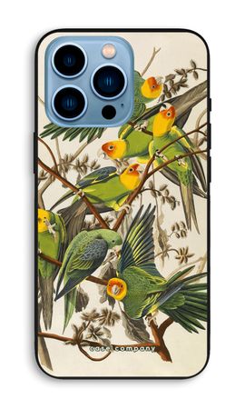 Carolina Parrot
