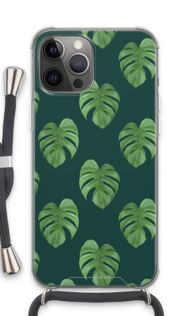 Monstera leaves