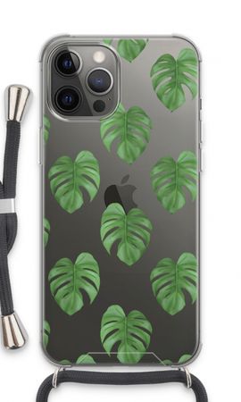 Monstera leaves