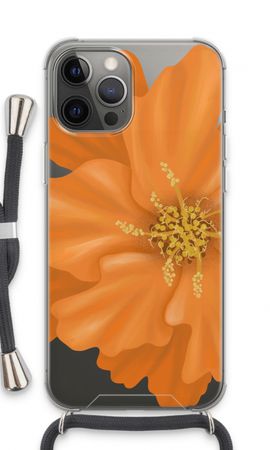 Orange Ellila flower