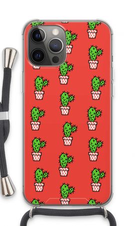 Mini cactus
