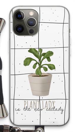 Houseplant on windowpane