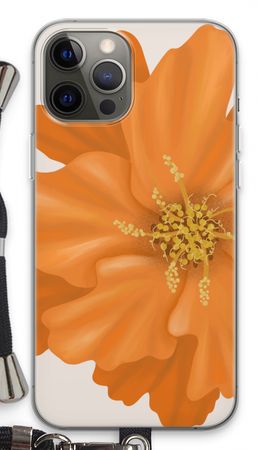 Orange Ellila flower