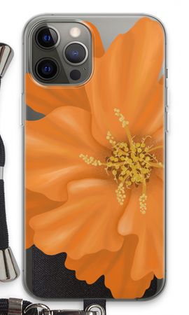 Orange Ellila flower