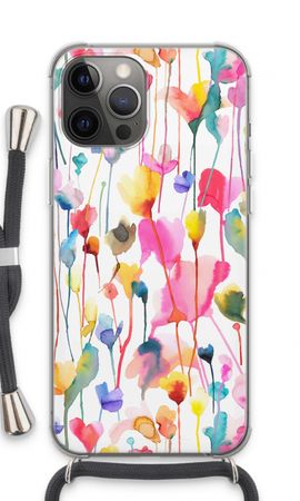 Wild Colorful Flowers