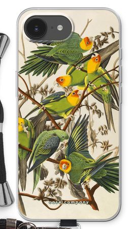 Carolina Parrot