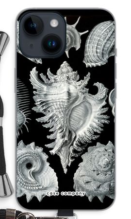 Haeckel Prosobranchia