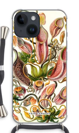 Haeckel Nepenthaceae