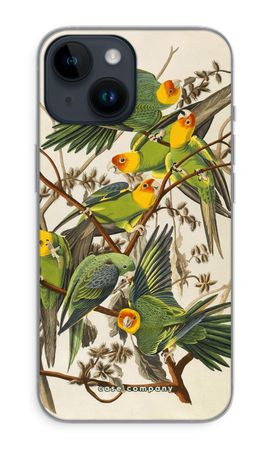Carolina Parrot