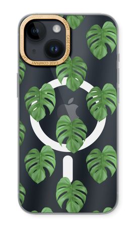 Monstera leaves