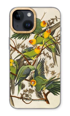 Carolina Parrot