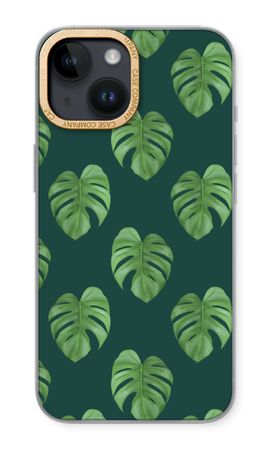 Monstera leaves