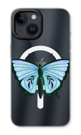 Blue Butterfly