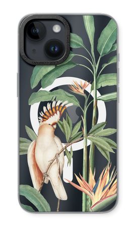 Tropical Parrot