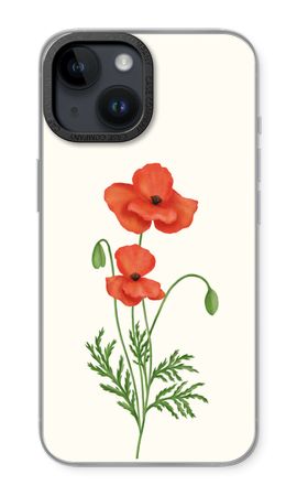 Red poppy