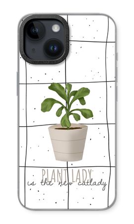 Houseplant on windowpane