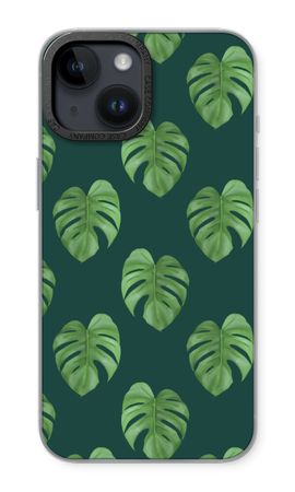 Monstera leaves
