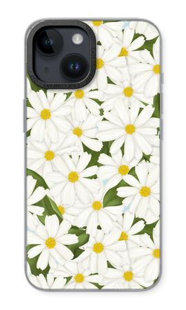 Summer Daisies