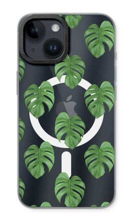 Monstera leaves