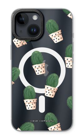 Cactus rose