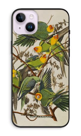 Carolina Parrot