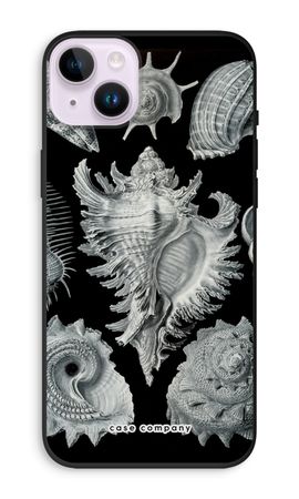 Haeckel Prosobranchia