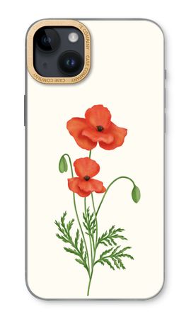 Red poppy