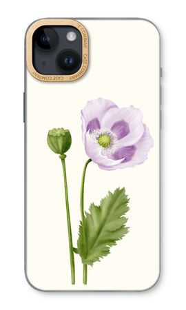 Purple poppy
