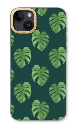 Monstera leaves