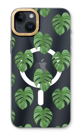 Monstera leaves