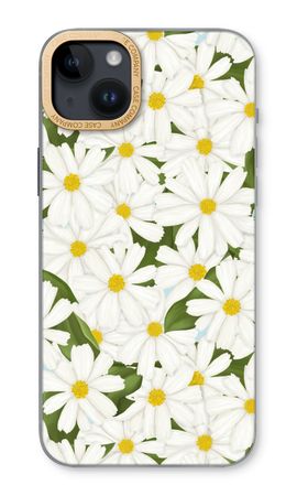 Summer Daisies