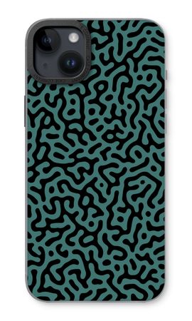 Turing pattern