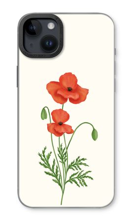 Red poppy
