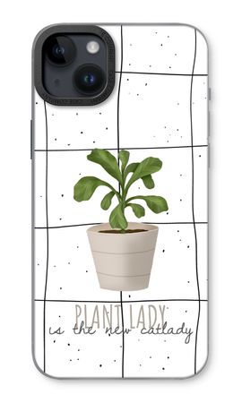 Houseplant on windowpane