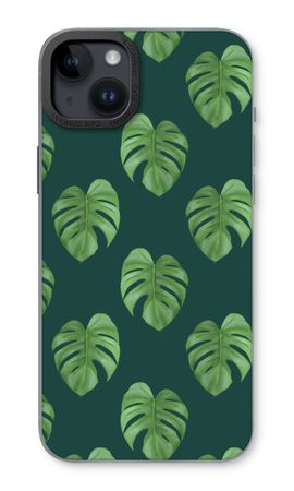 Monstera leaves