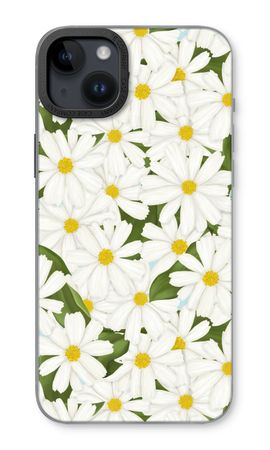 Summer Daisies