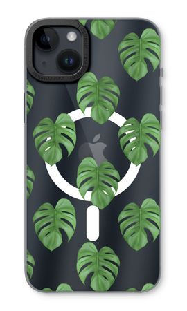 Monstera leaves