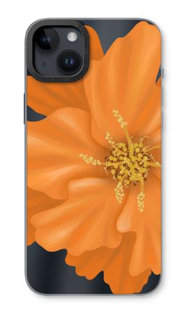 Orange Ellila flower