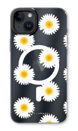 Daisies