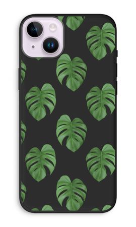 Monstera leaves