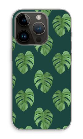 Monstera leaves